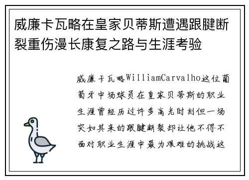 威廉卡瓦略在皇家贝蒂斯遭遇跟腱断裂重伤漫长康复之路与生涯考验